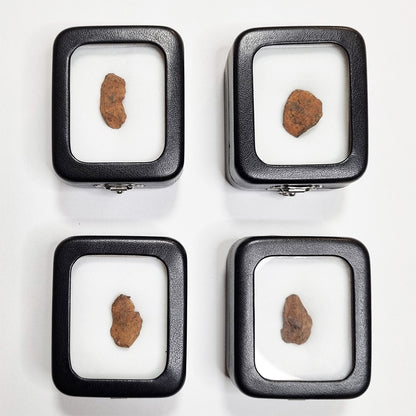 Henbury Meteorite In Gift Box (NT Australia- 4,700 years ago)- Assorted Options