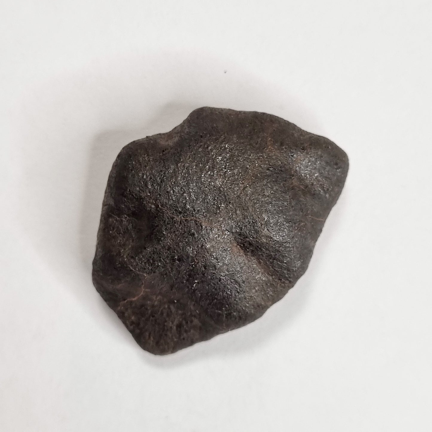 Wiluna Meteorite (Western Australia- 1967) 14g