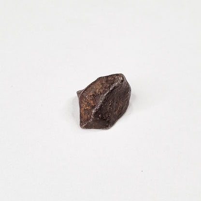 Mundrabilla Meteorite (Western Australia-1911) 9.3g