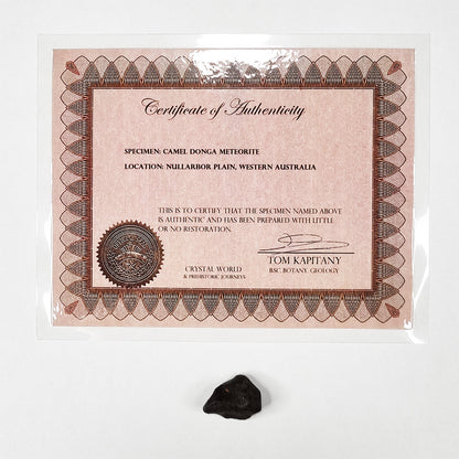 Camel Donga Meteorite (Nullarbor Plain- Western Australia- 1980) 4g