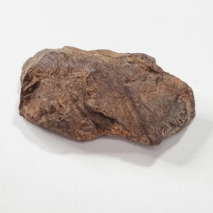 Gebel Kamil Meteorite (Egypt < 5000 Years Old) 61g