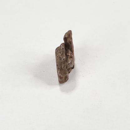Nantan Meteorite (China- 1516) 6g