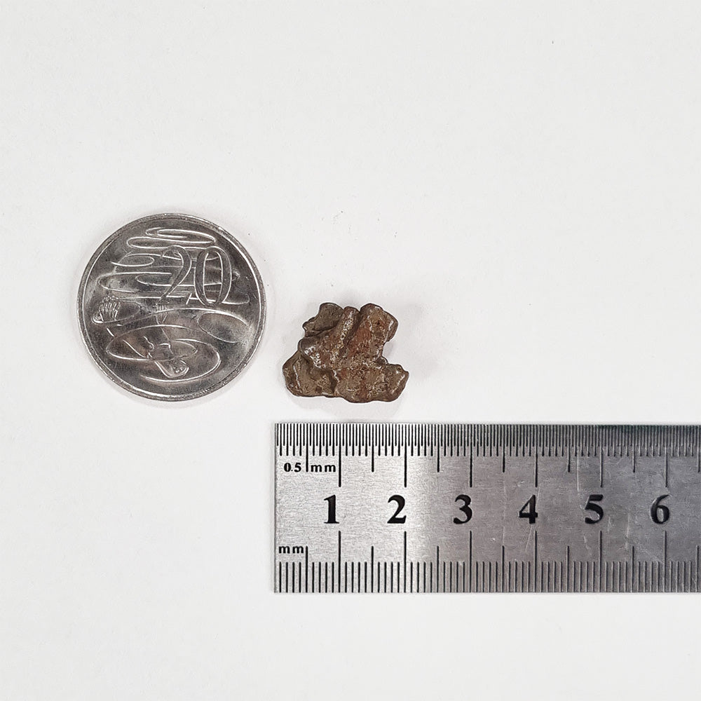 Nantan Meteorite (China- 1516) 6g