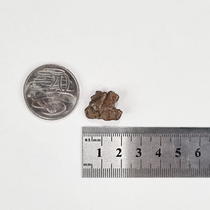 Nantan Meteorite (China- 1516) 6g