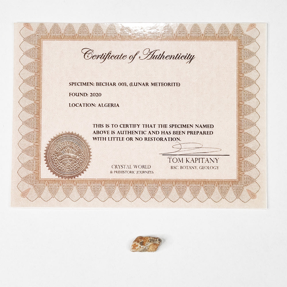 *Rare* Lunar Meteorite 1.8cm