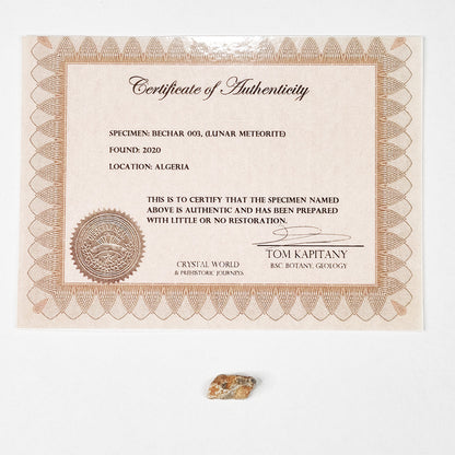 *Rare* Lunar Meteorite 1.8cm