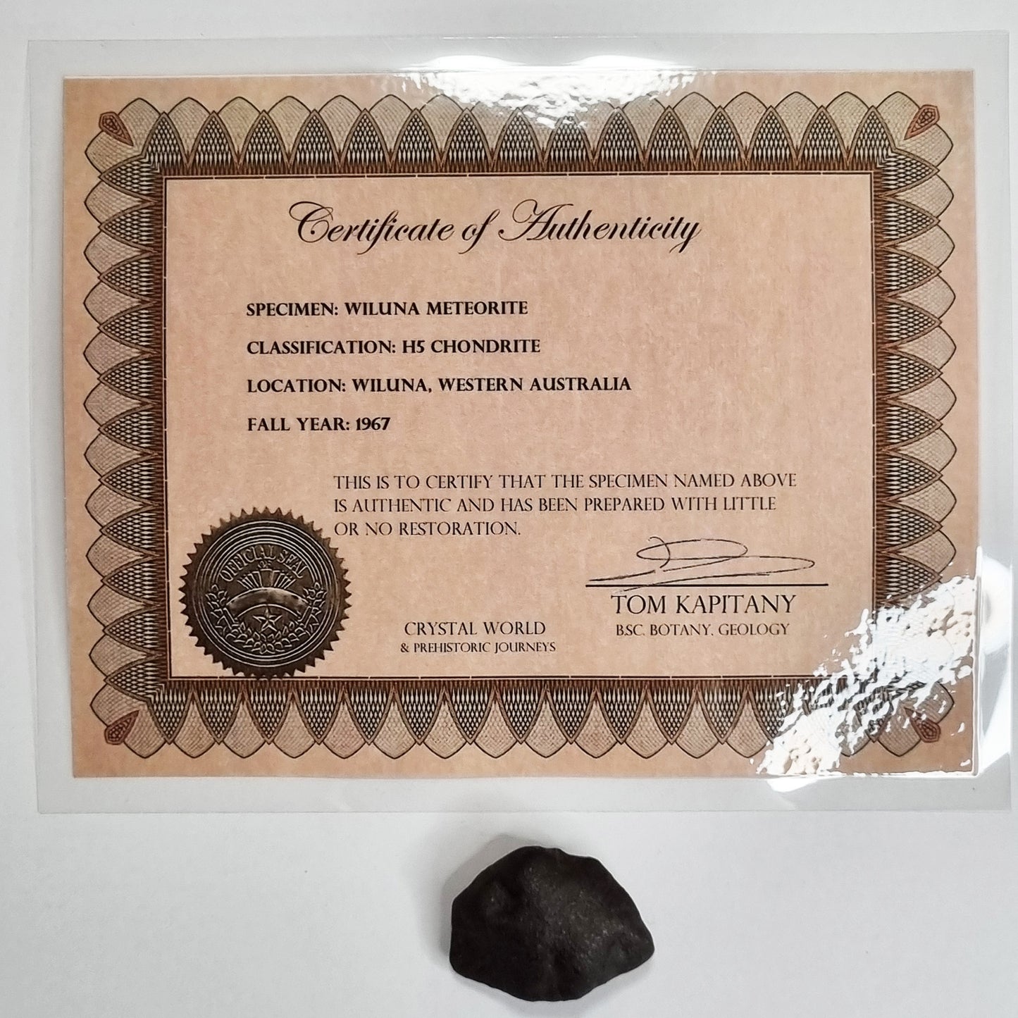 Wiluna Meteorite (Western Australia- 1967) 14g