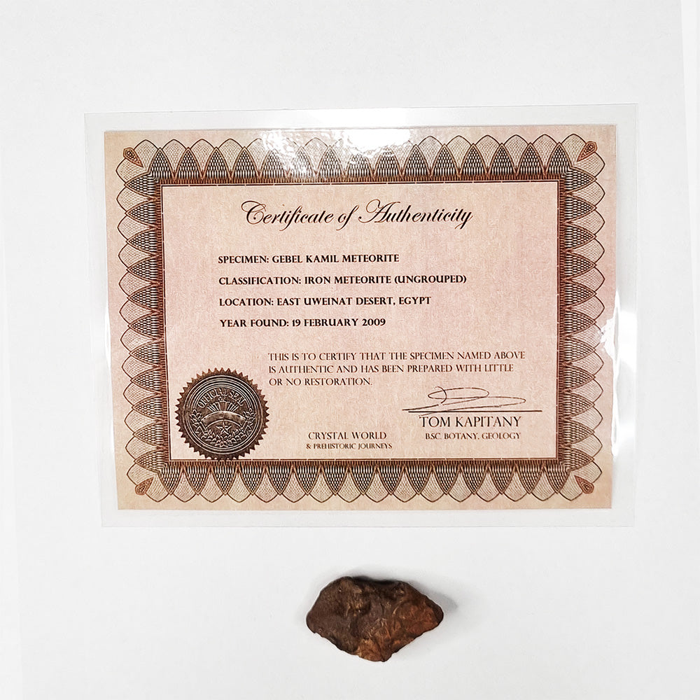 Gebel Kamil Meteorite (Egypt < 5000 Years Old) 28.4g
