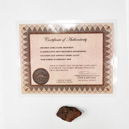 Gebel Kamil Meteorite (Egypt < 5000 Years Old) 28.4g