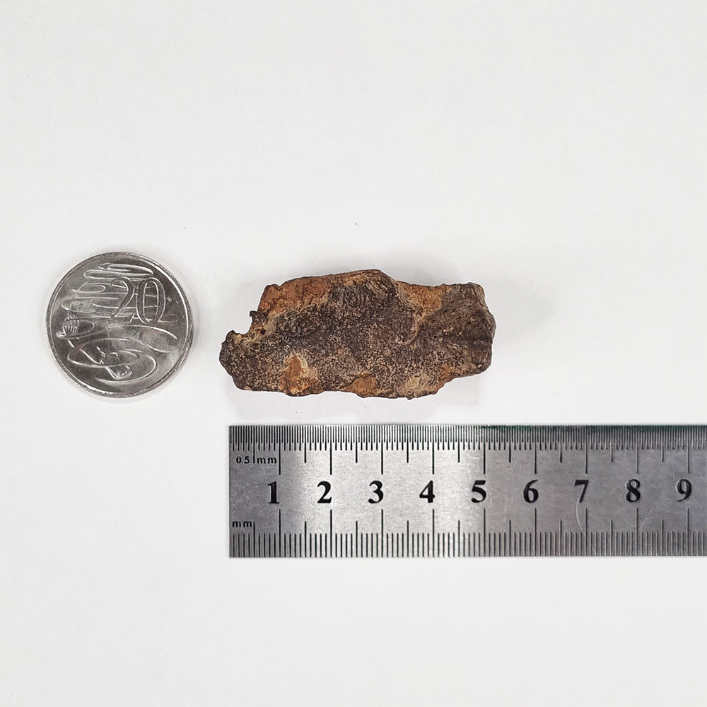 Gebel Kamil Meteorite (Egypt < 5000 Years Old) 61g