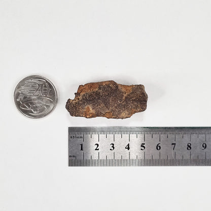 Gebel Kamil Meteorite (Egypt < 5000 Years Old) 61g