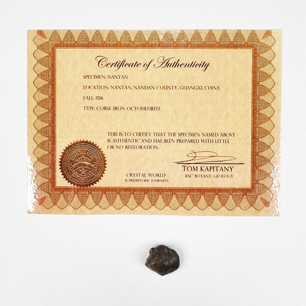 Nantan Meteorite (China- 1516) 6g