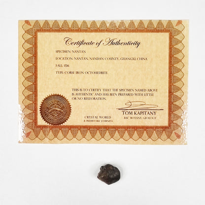 Nantan Meteorite (China- 1516) 6g