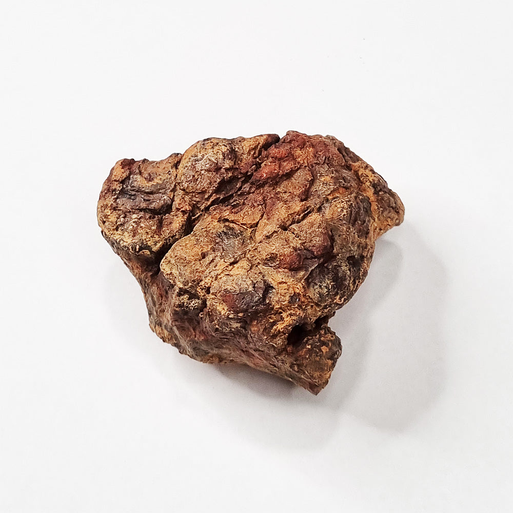 Wolfe Creek Shale Ball Meteorite (Western Australia-1947) 95g