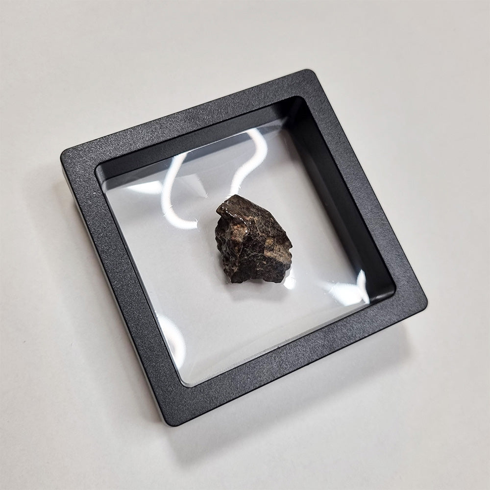 *Rare* NWA Rumuruti Meteorite (North West Africa, 1934) 7.3g