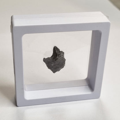 Sikhote-Alin Meteorite (Siberia-1947) 5g