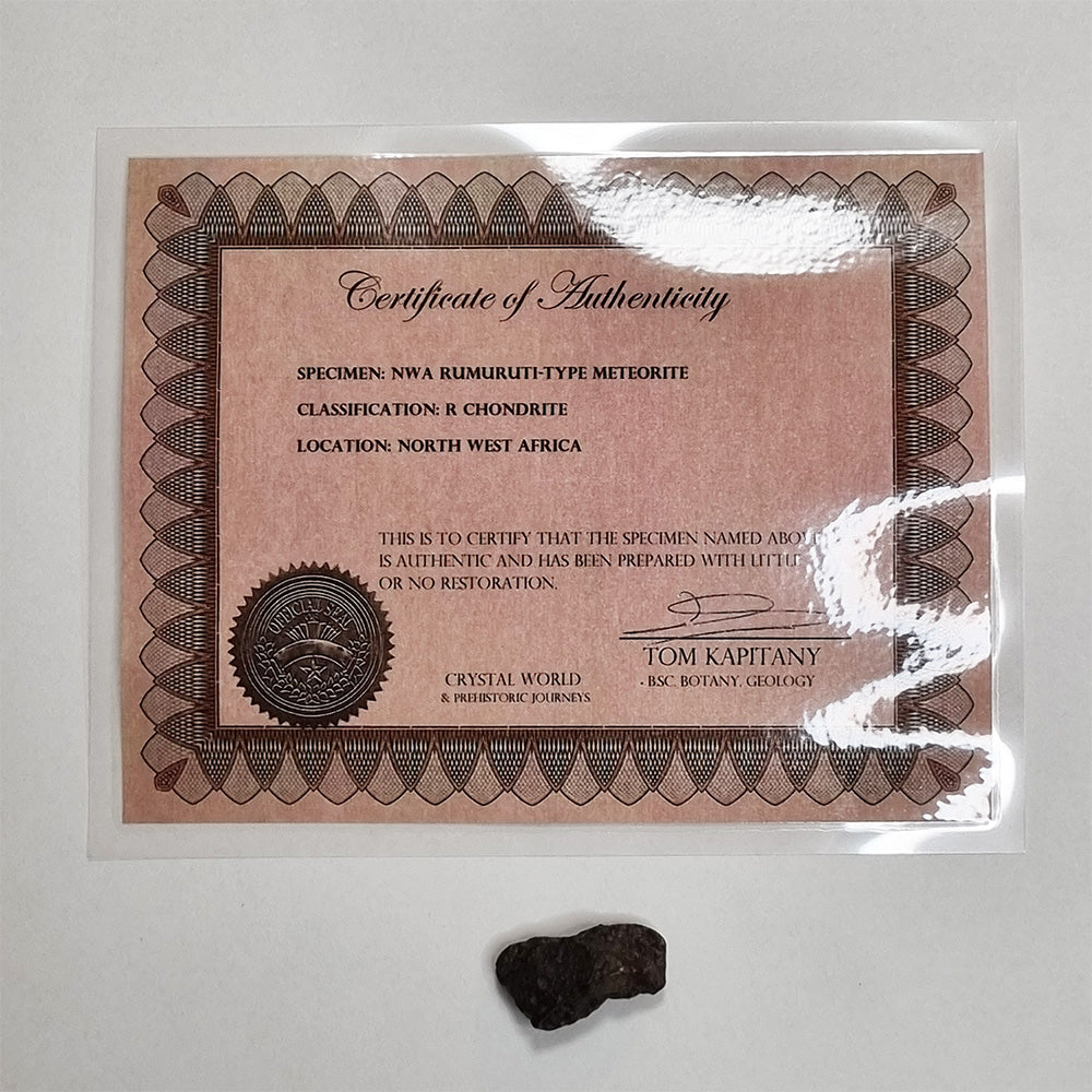 *Rare* NWA Rumuruti Meteorite (North West Africa, 1934) 6g