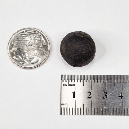 Australite (Australian Tektite) (790,000 Years Old) 14g