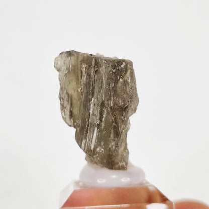 Darwin Glass Meteorite Impact Melt (Tasmania- 816,000 Years Old) 10g