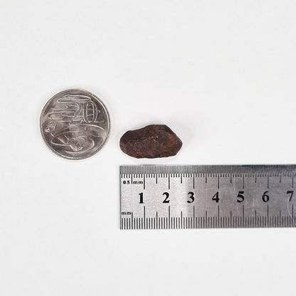 Mundrabilla Meteorite (Western Australia-1911) 11g