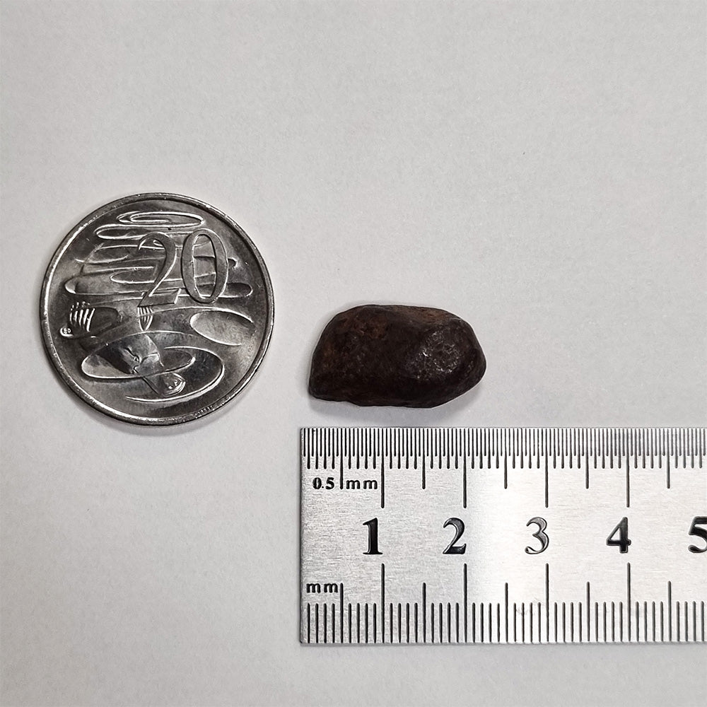 Mundrabilla Meteorite (Western Australia-1911) 9g