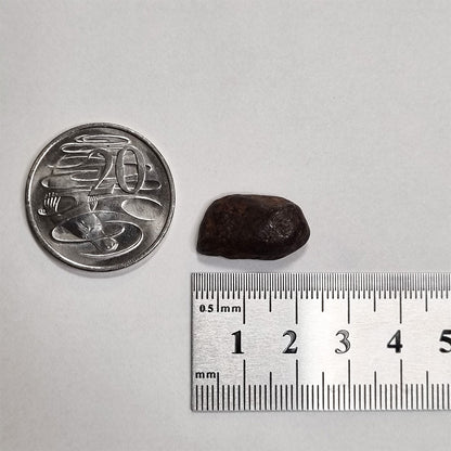 Mundrabilla Meteorite (Western Australia-1911) 9g