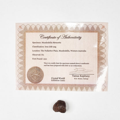 Mundrabilla Meteorite (Western Australia-1911) 14g