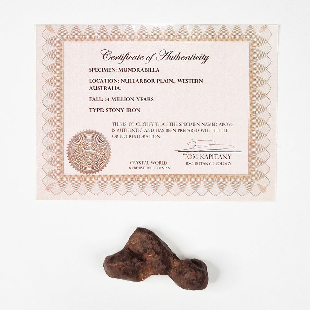 Mundrabilla Meteorite (Western Australia-1911) 82g