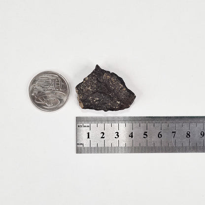Wiluna Meteorite (Western Australia- 1967) 24g
