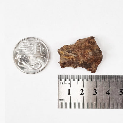 Gebel Kamil Meteorite (Egypt < 5000 Years Old) 39g
