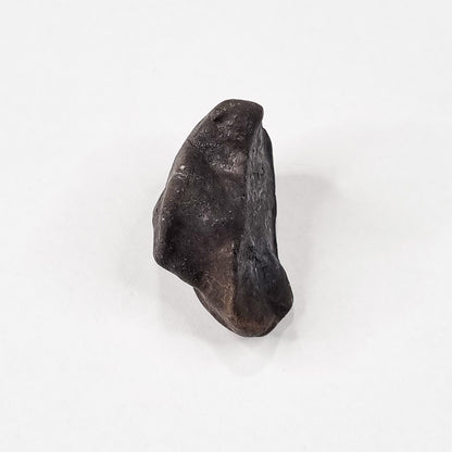 Wiluna Meteorite (Western Australia- 1967) 14.07g