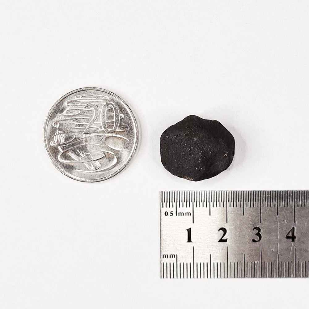 Wiluna Meteorite (Western Australia- 1967) 10g