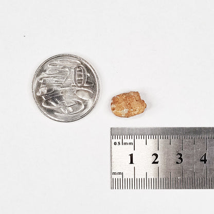 *Rare* Lunar Meteorite 1.5cm