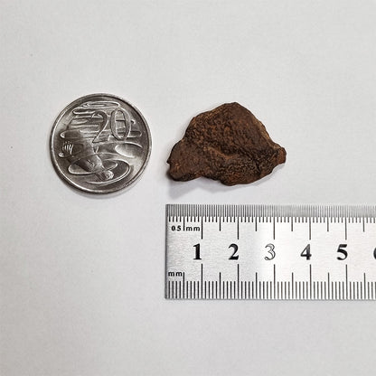 Gebel Kamil Meteorite (Egypt < 5000 Years) 20g