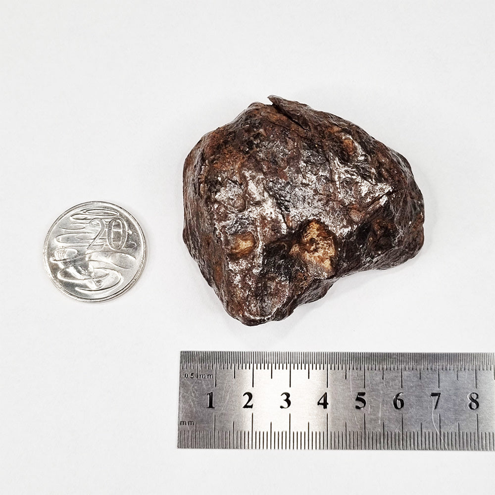 Nantan Meteorite (China- 1516) 370g