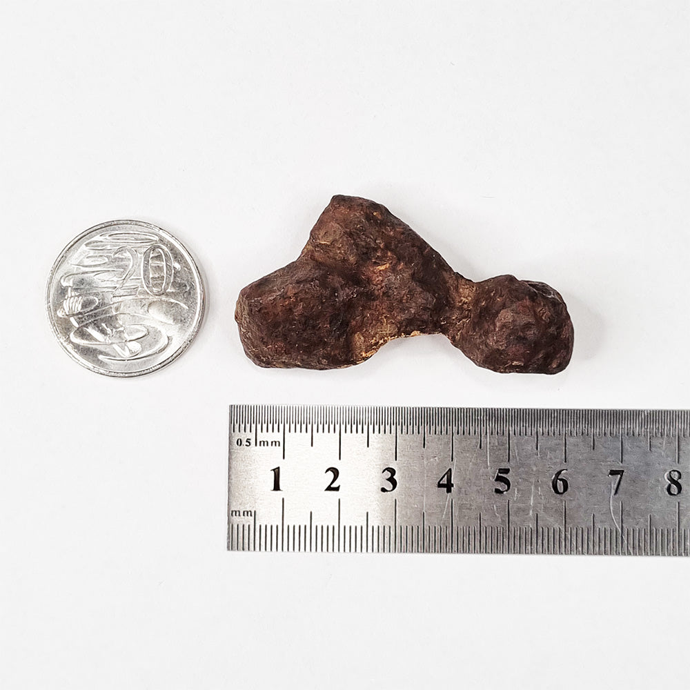 Mundrabilla Meteorite (Western Australia-1911) 82g
