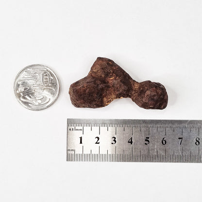 Mundrabilla Meteorite (Western Australia-1911) 82g