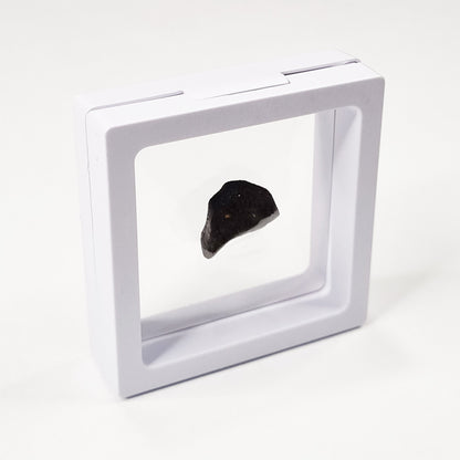 Camel Donga Meteorite (Nullarbor Plain- Western Australia- 1980) 4g