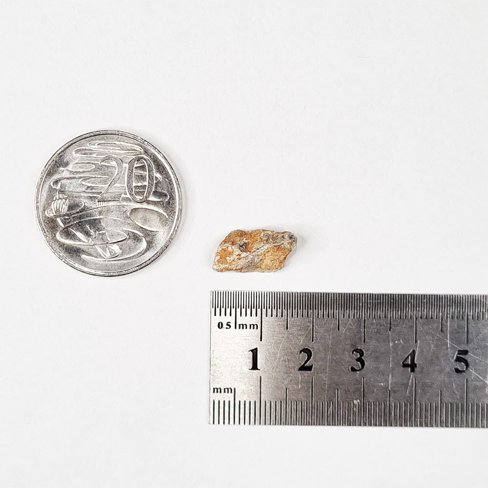*Rare* Lunar Meteorite 1.8cm