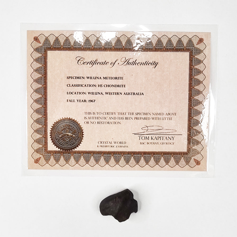 Wiluna Meteorite (Western Australia- 1967) 14.07g