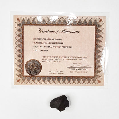 Wiluna Meteorite (Western Australia- 1967) 14.07g
