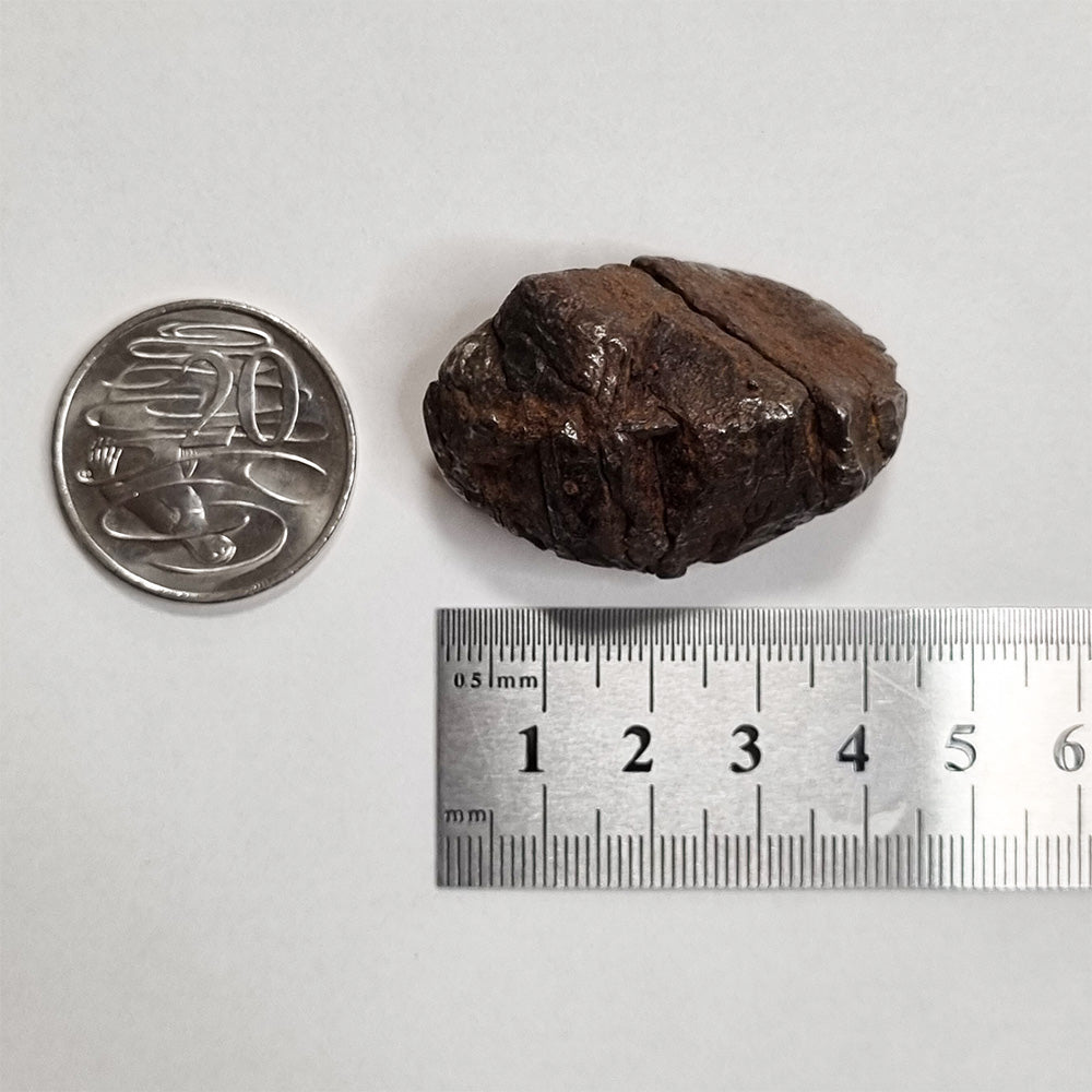 Nantan Meteorite 88g (China- 1516)