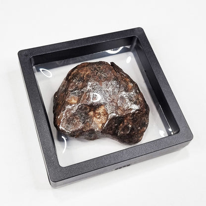 Nantan Meteorite (China- 1516) 370g