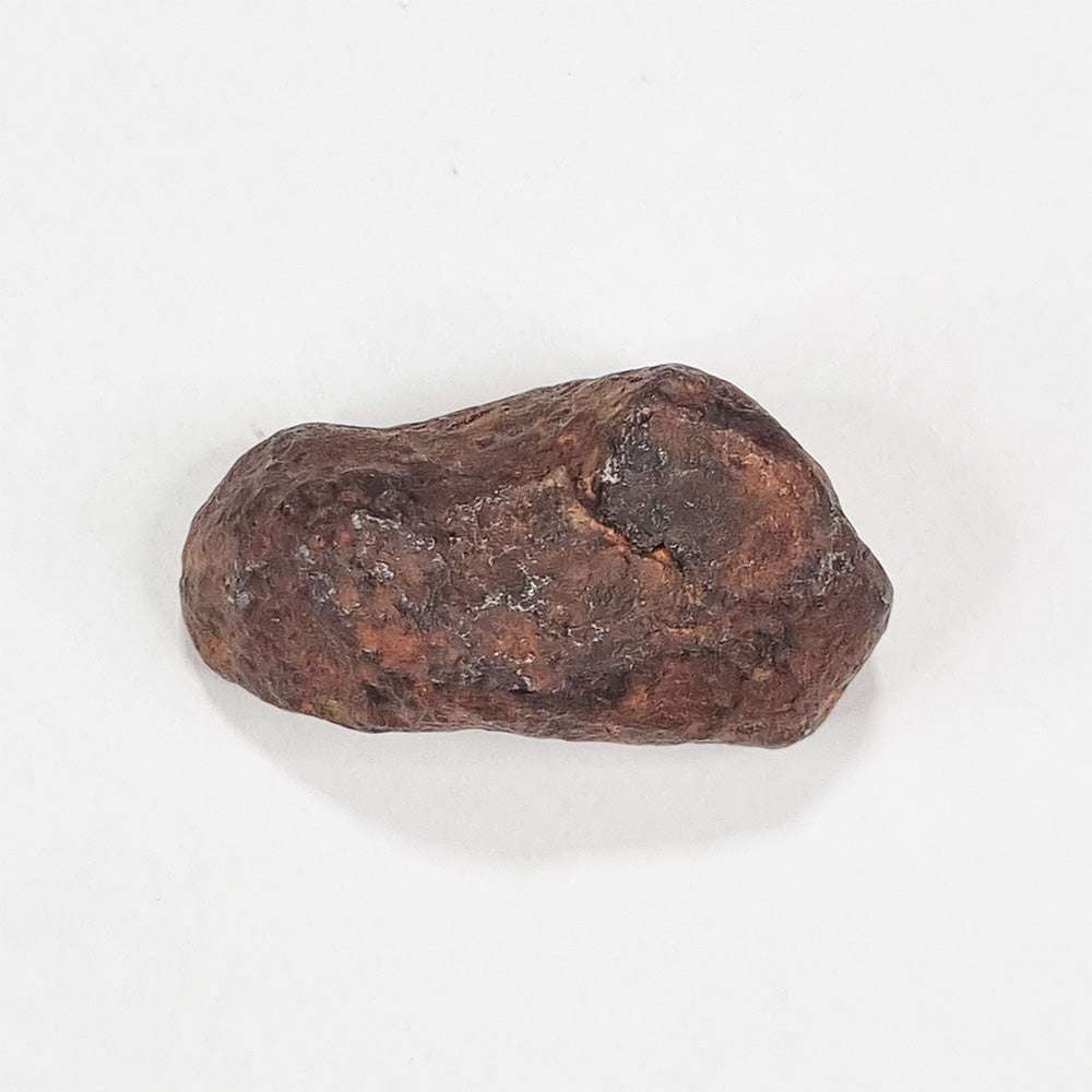 Mundrabilla Meteorite (Western Australia-1911) 11g