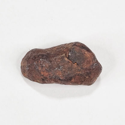 Mundrabilla Meteorite (Western Australia-1911) 11g
