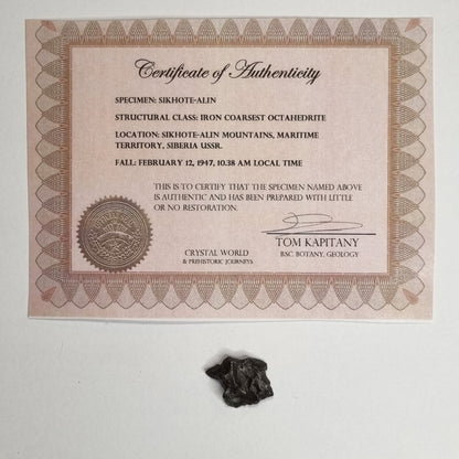 Sikhote-Alin Meteorite (Siberia-1947) 5g