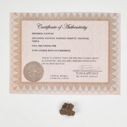 Nantan Meteorite (China- 1516) 6g