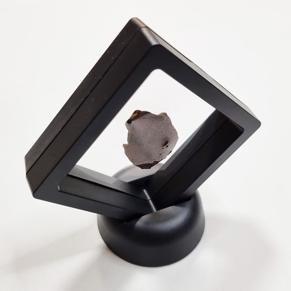 Gebel Kamil Meteorite (Egypt < 5000 Years) 20g