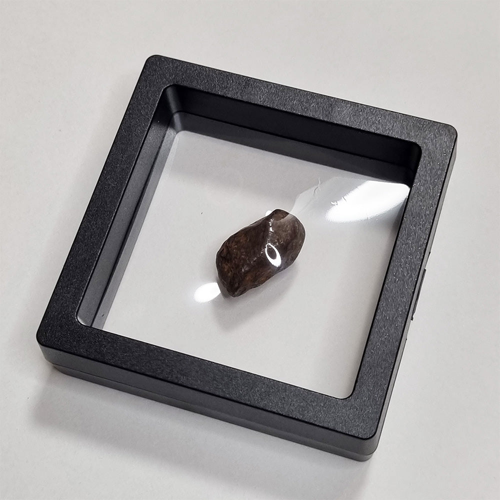 Mundrabilla Meteorite (Western Australia-1911) 9g