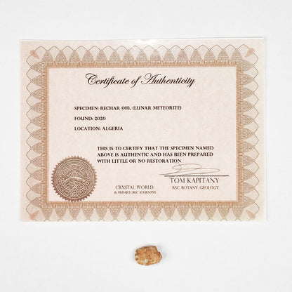 *Rare* Lunar Meteorite 1.5cm